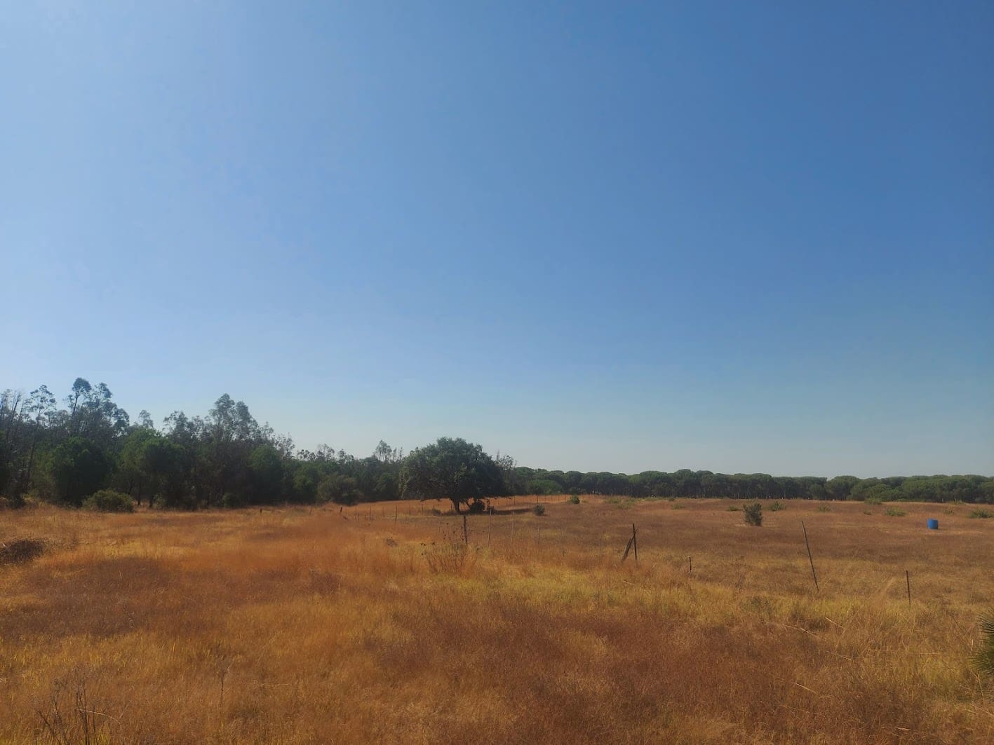 2 soveværelse Finca/Landehus til salg i Almonte med garage - € 71.000 (Ref: 9169519)