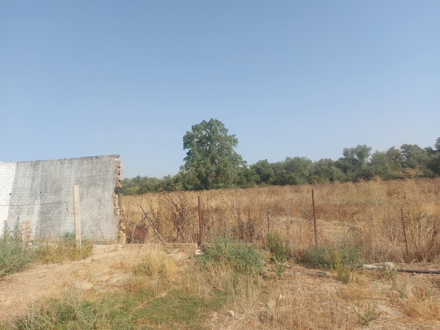 2 slaapkamer Finca/Landhuis te koop in Almonte - € 55.000 (Ref: 9178166)