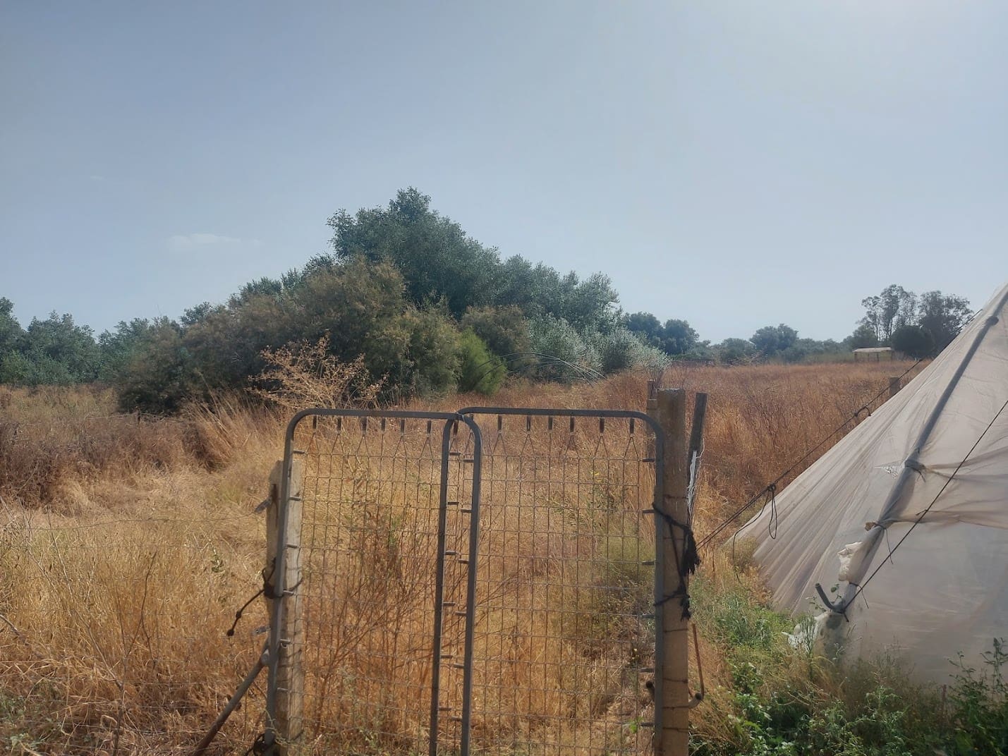 2 slaapkamer Finca/Landhuis te koop in Almonte - € 55.000 (Ref: 9178166)