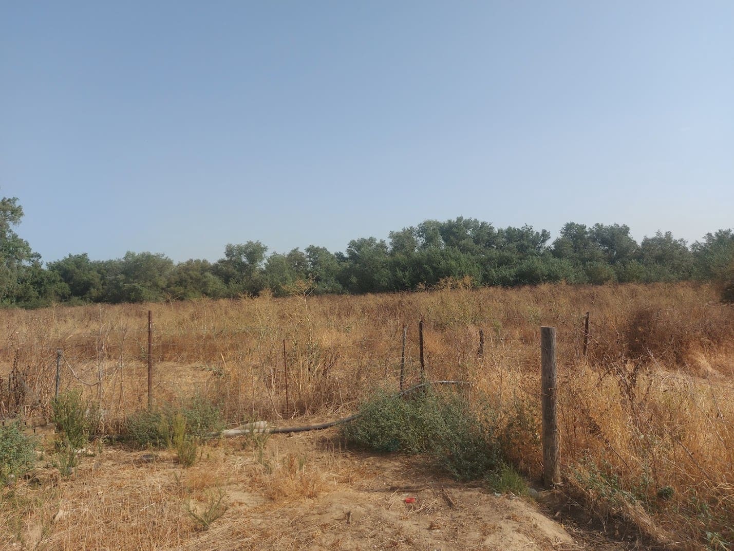 2 slaapkamer Finca/Landhuis te koop in Almonte - € 55.000 (Ref: 9178166)