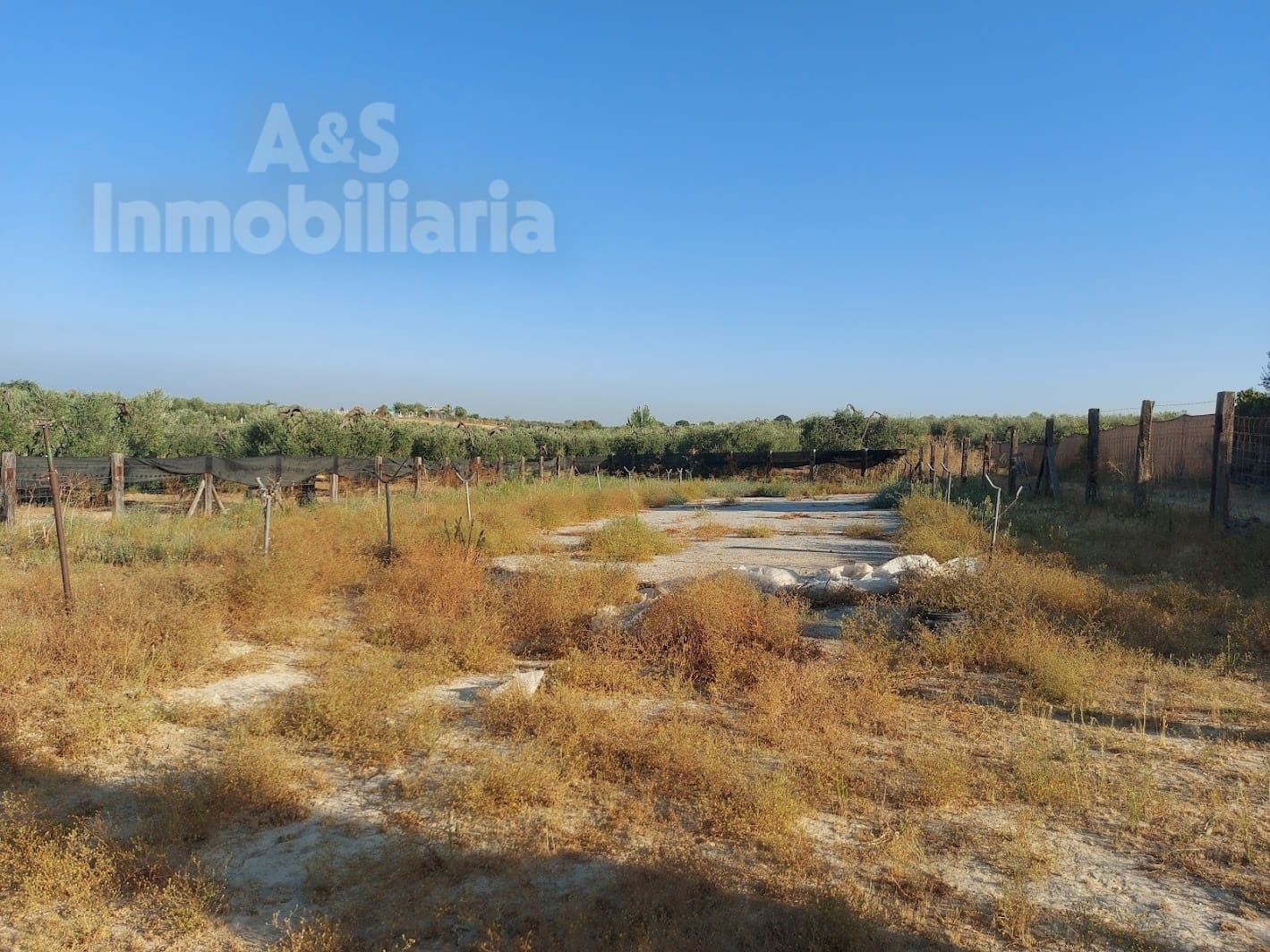 Building Plot for sale in Almonte - € 20,000 (Ref: 9185000)