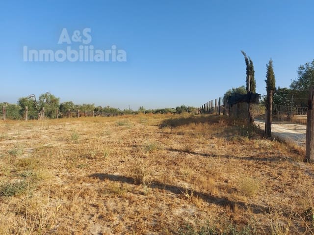 Building Plot for sale in Almonte - € 20,000 (Ref: 9185000)