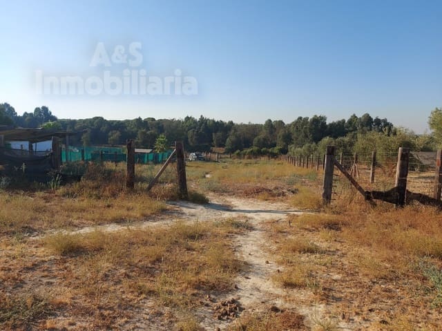 Building Plot for sale in Almonte - € 20,000 (Ref: 9185000)