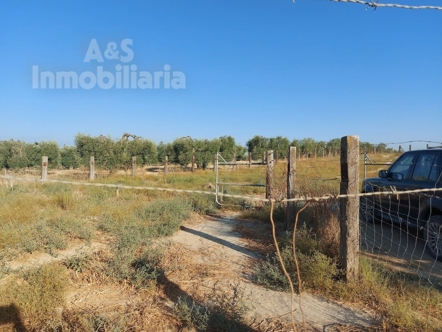 Building Plot for sale in Almonte - € 20,000 (Ref: 9185000)