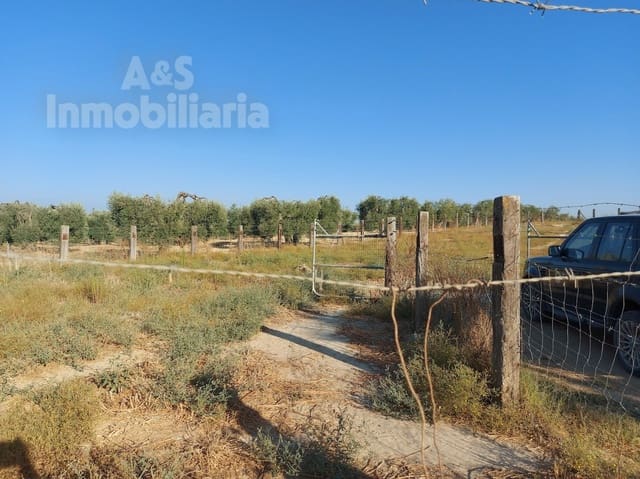 Building Plot for sale in Almonte - € 20,000 (Ref: 9185000)