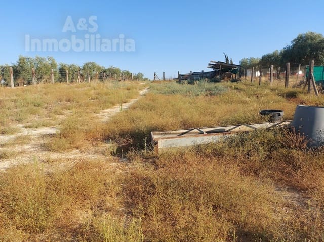 Building Plot for sale in Almonte - € 20,000 (Ref: 9185000)