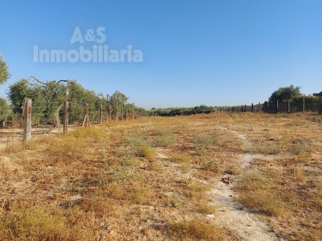 Building Plot for sale in Almonte - € 20,000 (Ref: 9185000)