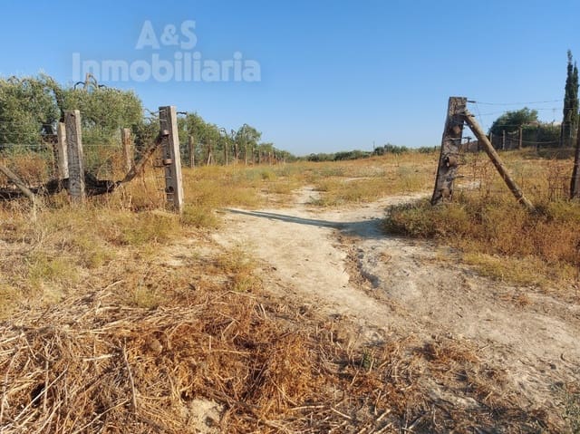 Building Plot for sale in Almonte - € 20,000 (Ref: 9185000)