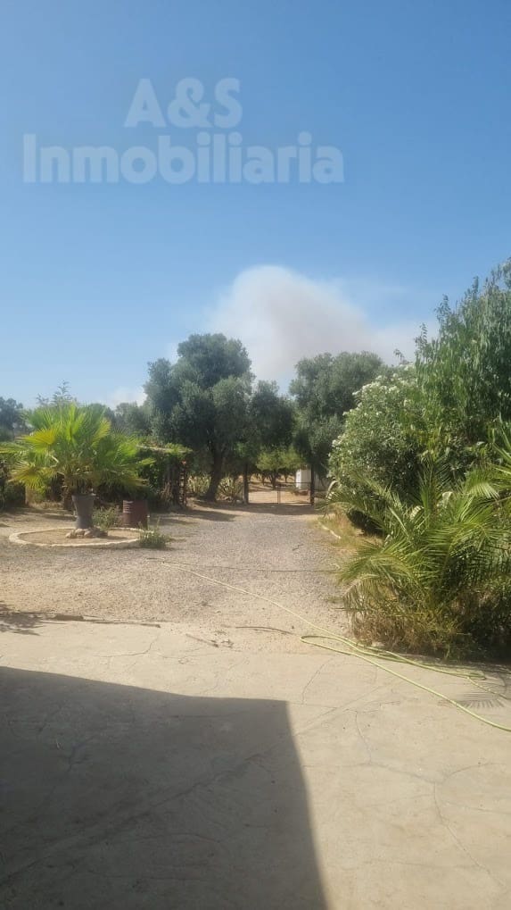 4 soverom Finca/Herregård til salgs i Almonte med svømmebasseng garasje - € 180 000 (Ref: 9209399)