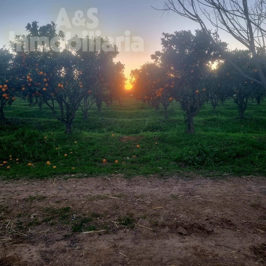 4 soverom Finca/Herregård til salgs i Almonte med svømmebasseng garasje - € 180 000 (Ref: 9209399)