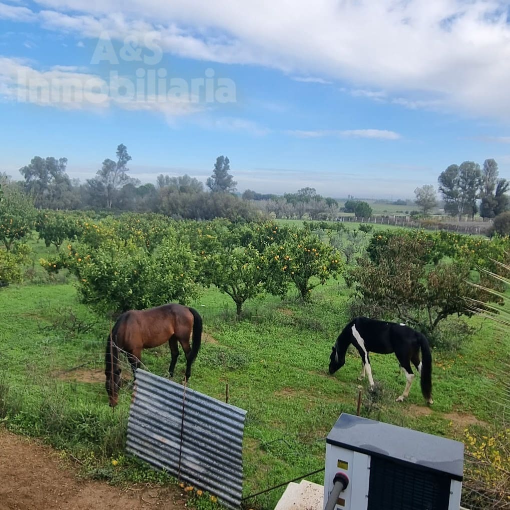 4 soverom Finca/Herregård til salgs i Almonte med svømmebasseng garasje - € 180 000 (Ref: 9209399)