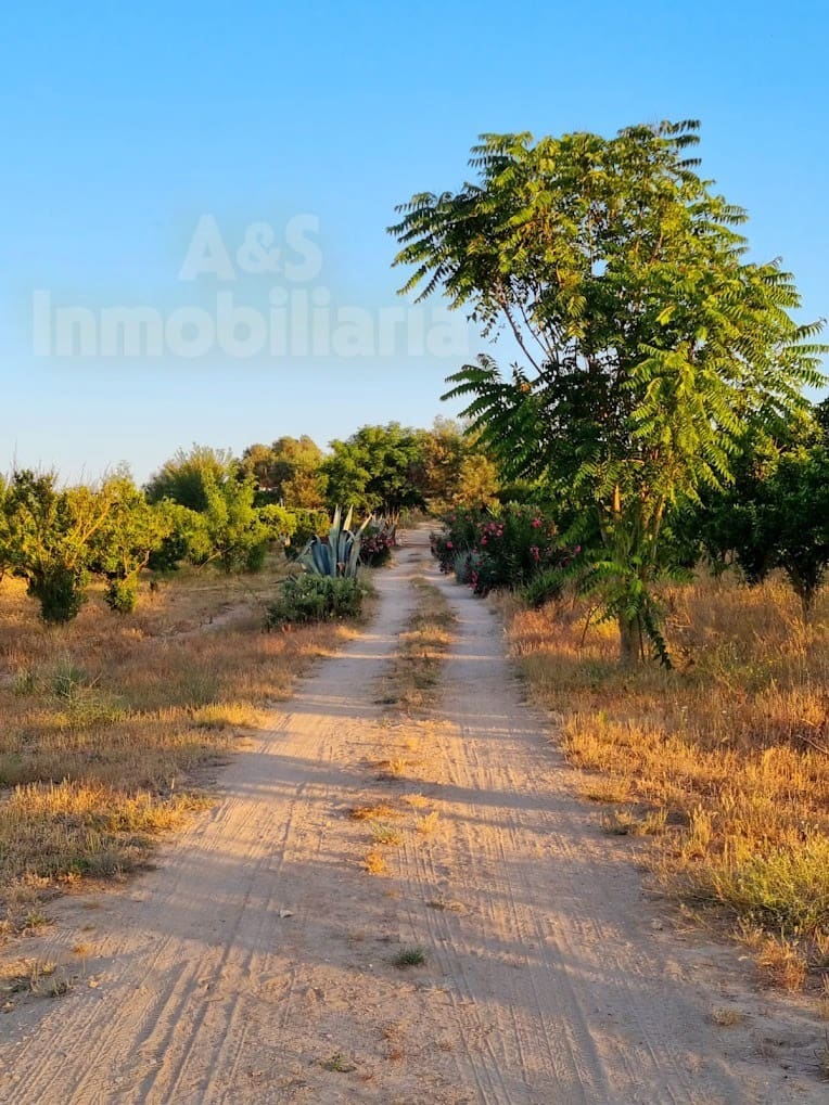 4 soverom Finca/Herregård til salgs i Almonte med svømmebasseng garasje - € 180 000 (Ref: 9209399)