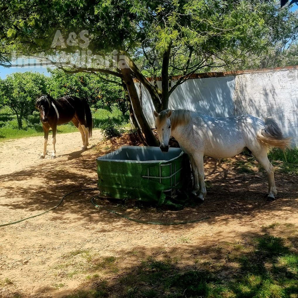 4 soverom Finca/Herregård til salgs i Almonte med svømmebasseng garasje - € 180 000 (Ref: 9209399)