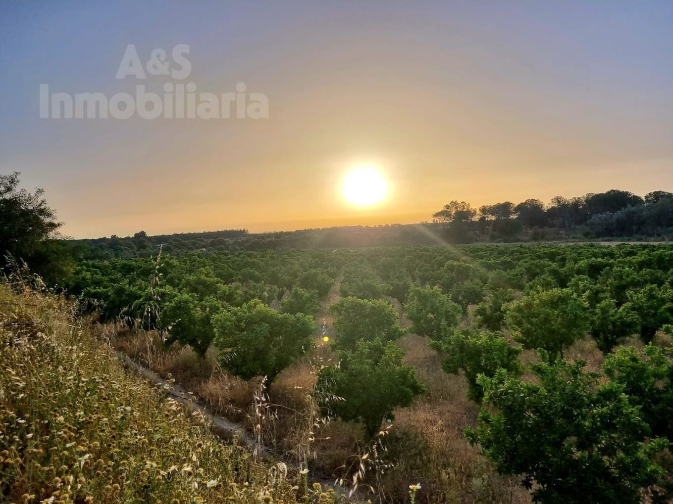 4 soverom Finca/Herregård til salgs i Almonte med svømmebasseng garasje - € 180 000 (Ref: 9209399)