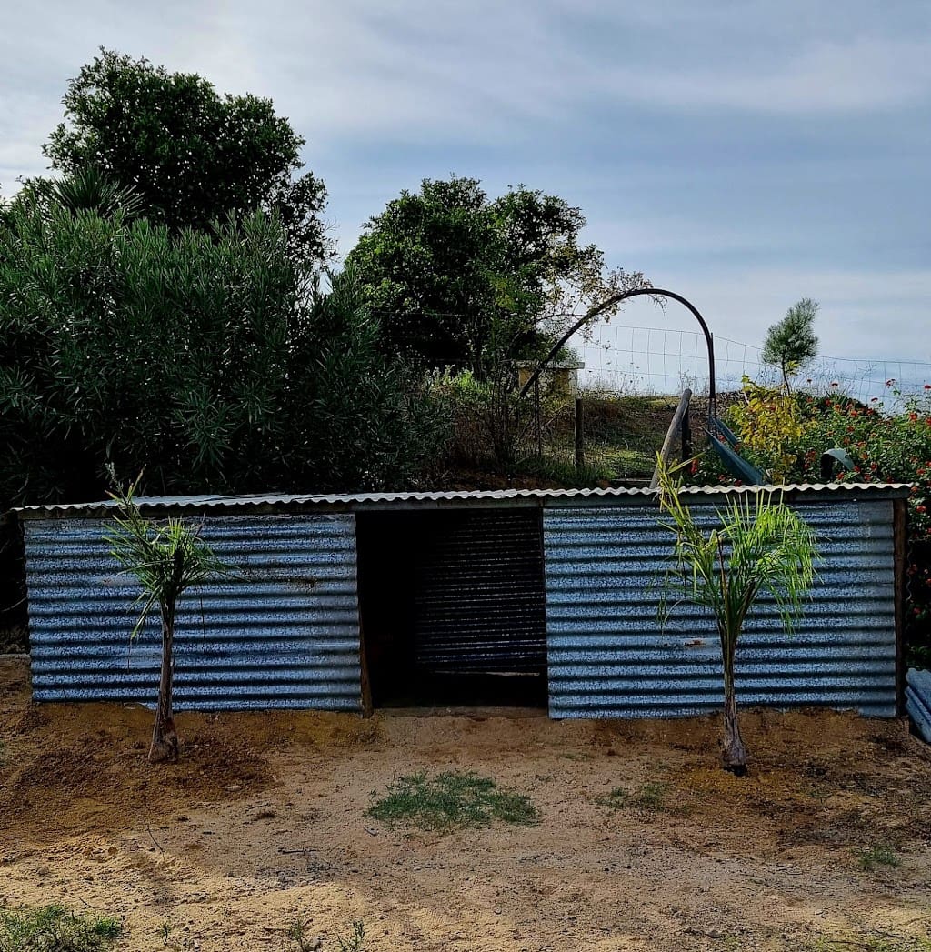 4 soverom Finca/Herregård til salgs i Almonte med svømmebasseng garasje - € 180 000 (Ref: 9209399)