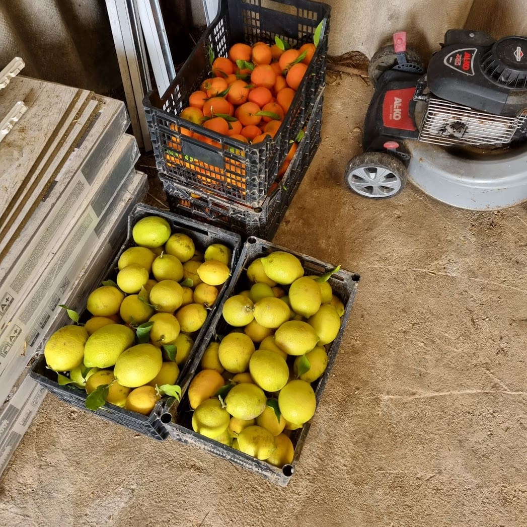 4 soverom Finca/Herregård til salgs i Almonte med svømmebasseng garasje - € 180 000 (Ref: 9209399)