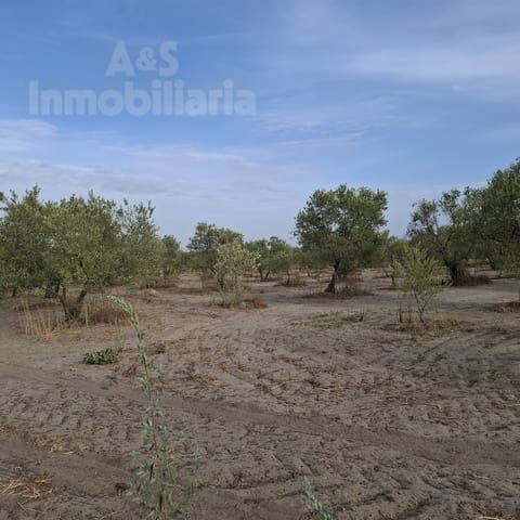 Tontti myytävänä paikassa Almonte - 28 000 € (Ref: 9248551)