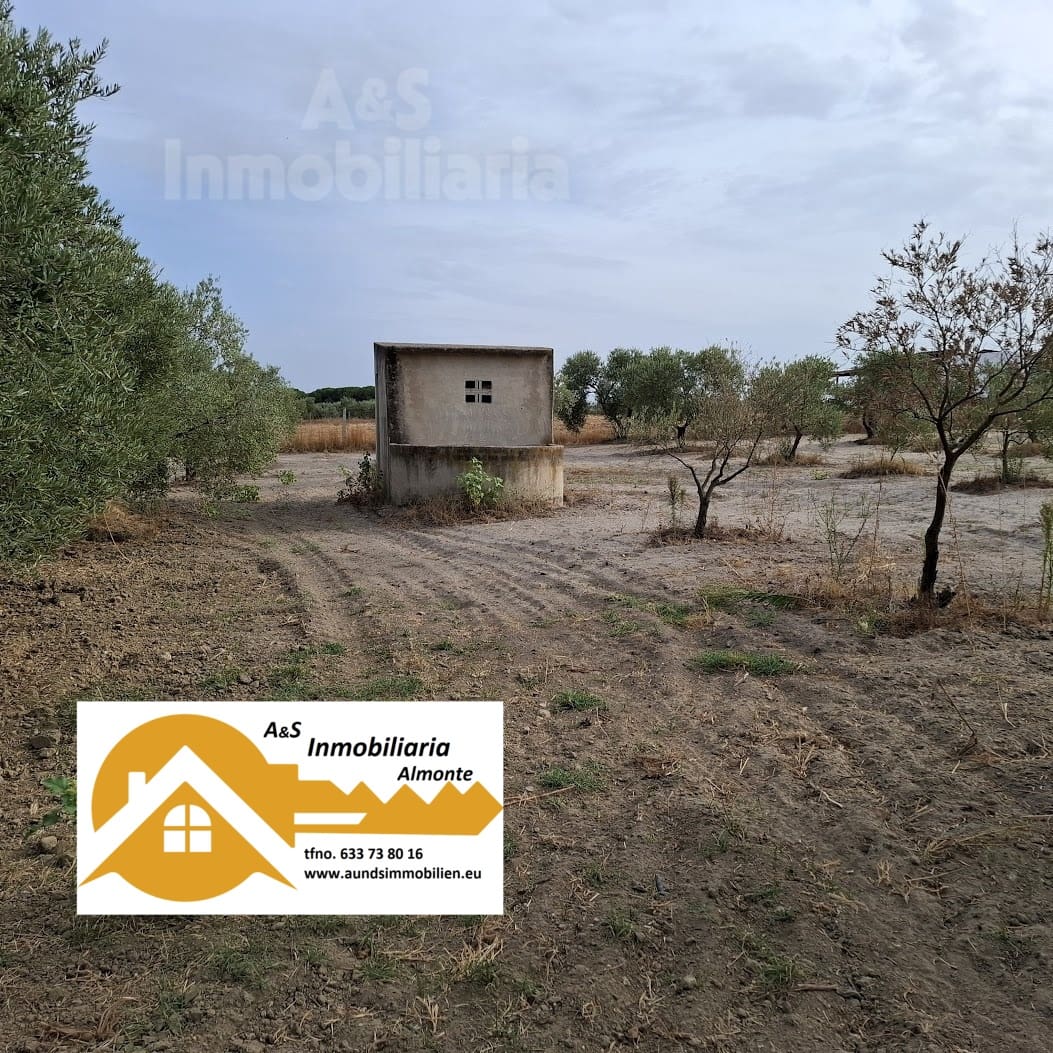 Tontti myytävänä paikassa Almonte - 28 000 € (Ref: 9248551)