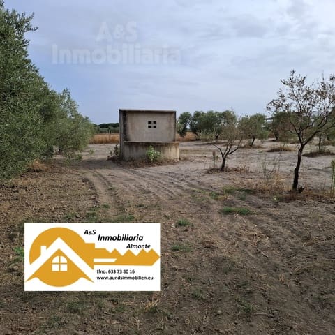Tontti myytävänä paikassa Almonte - 28 000 € (Ref: 9248551)