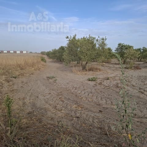 Tontti myytävänä paikassa Almonte - 28 000 € (Ref: 9248551)