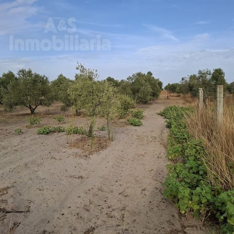 Tontti myytävänä paikassa Almonte - 28 000 € (Ref: 9248551)