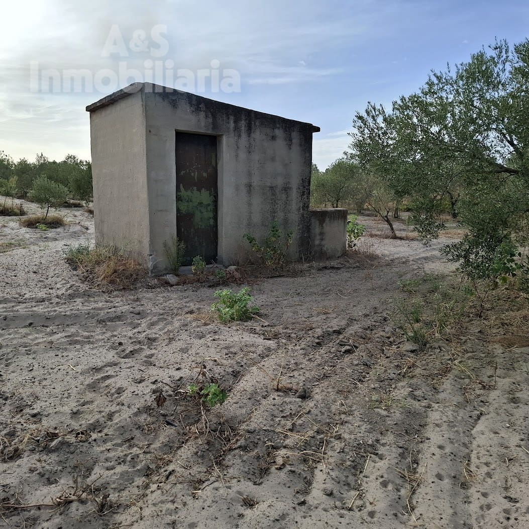 Tontti myytävänä paikassa Almonte - 28 000 € (Ref: 9248551)