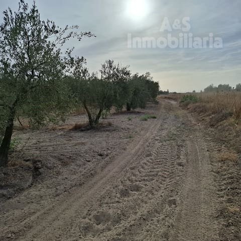 Tontti myytävänä paikassa Almonte - 28 000 € (Ref: 9248551)