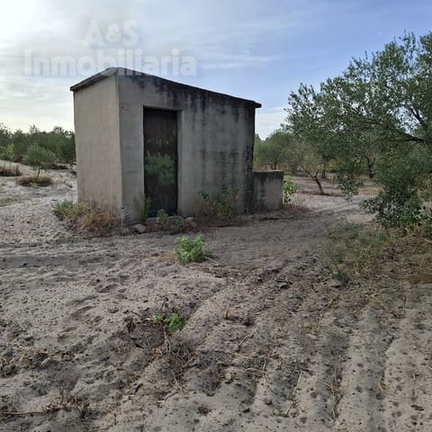 Działka budowlana na sprzedaż w Almonte - 31 000 € (Ref: 9248551)