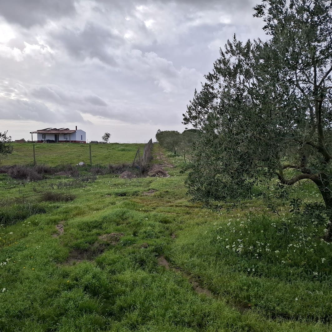 Byggegrund til salg i Almonte - € 31.000 (Ref: 9248551)