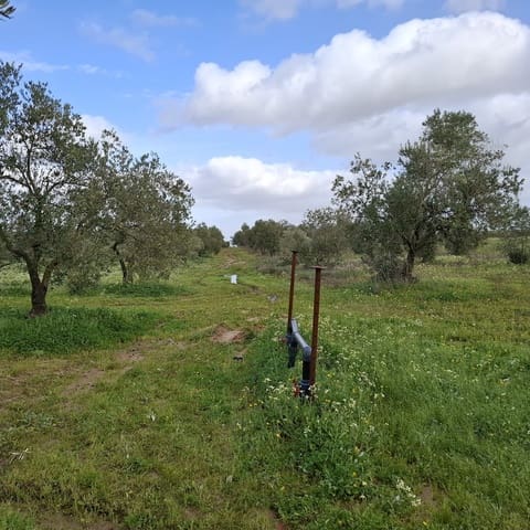 Działka budowlana na sprzedaż w Almonte - 31 000 € (Ref: 9248551)