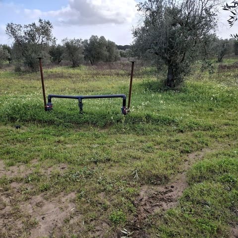 Działka budowlana na sprzedaż w Almonte - 31 000 € (Ref: 9248551)