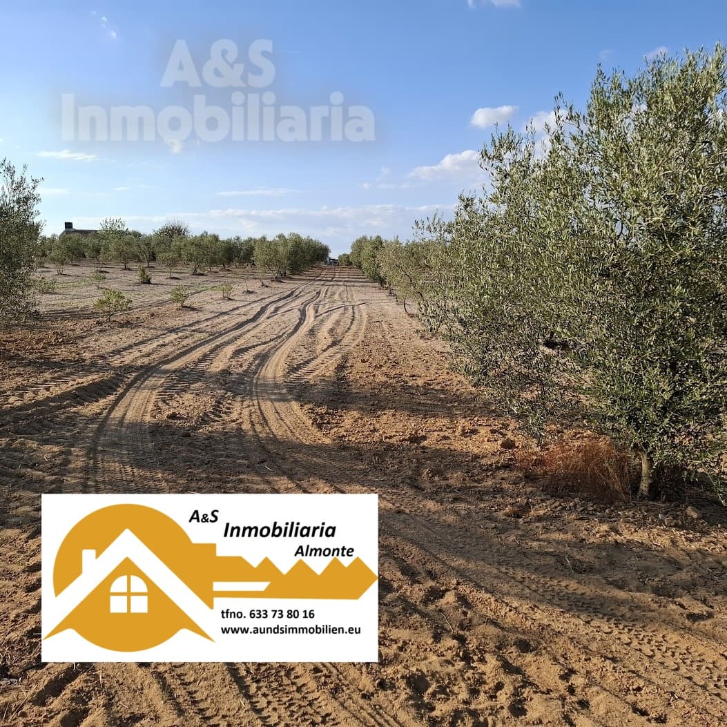 Building Plot for sale in Almonte - € 13,000 (Ref: 9291490)