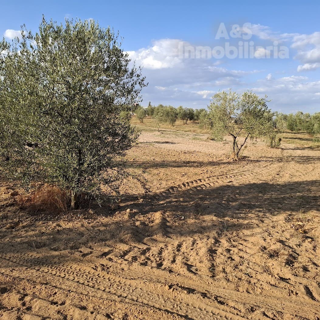 Building Plot for sale in Almonte - € 13,000 (Ref: 9291490)