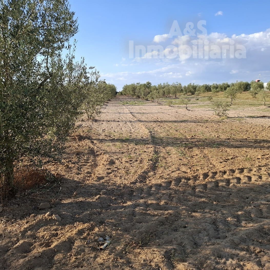 Building Plot for sale in Almonte - € 13,000 (Ref: 9291490)