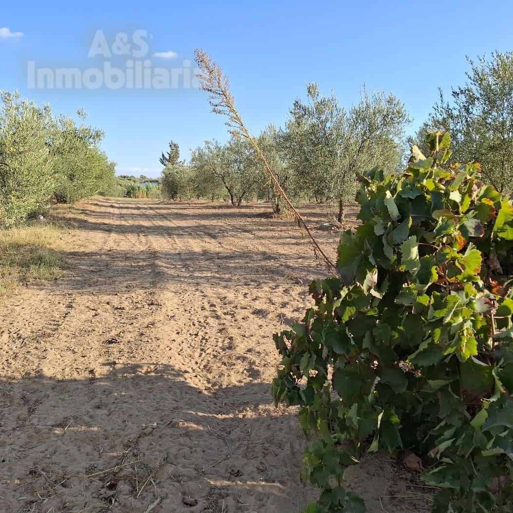 Building Plot for sale in Almonte - € 13,000 (Ref: 9291490)