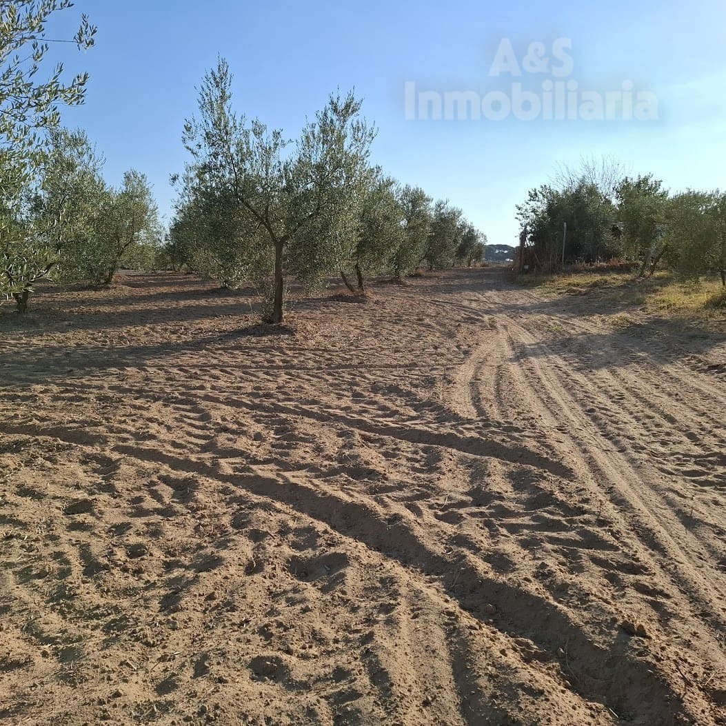 Building Plot for sale in Almonte - € 13,000 (Ref: 9291490)