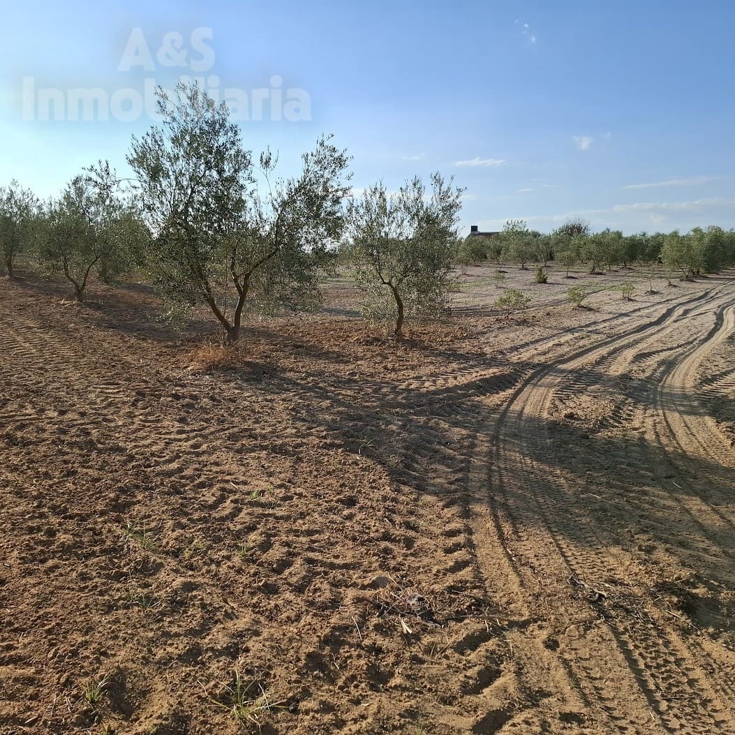 Building Plot for sale in Almonte - € 13,000 (Ref: 9291490)