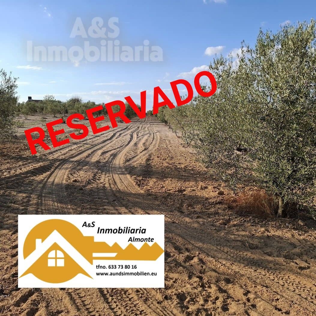Building Plot for sale in Almonte - € 13,000 (Ref: 9291490)