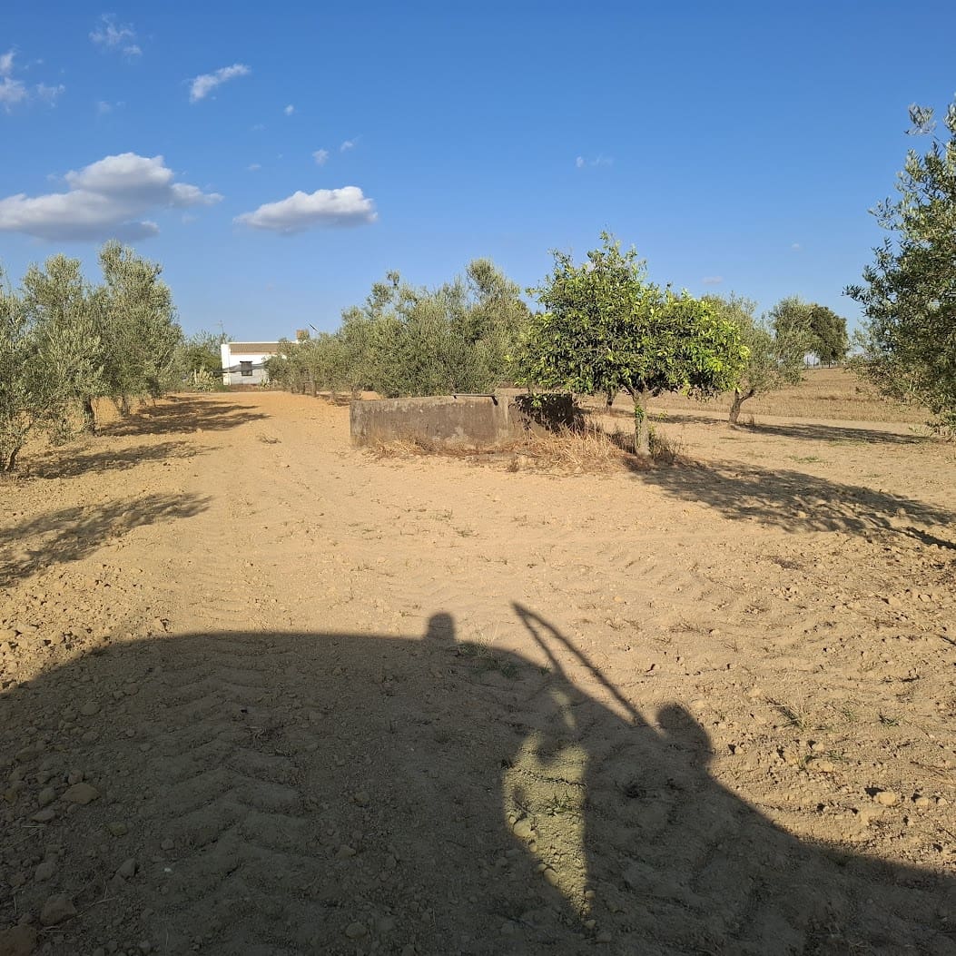 Działka budowlana na sprzedaż w Almonte - 35 000 € (Ref: 9321675)