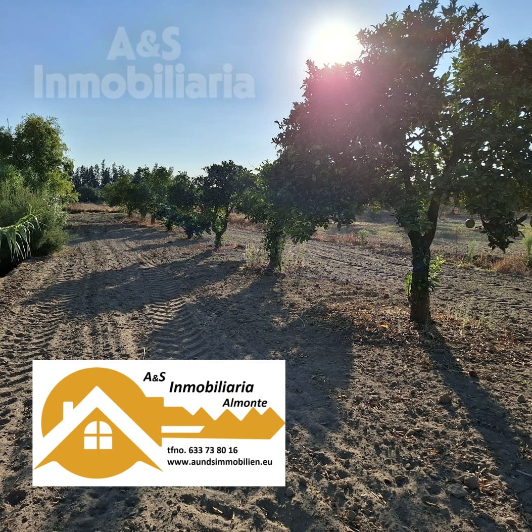 Działka budowlana na sprzedaż w Almonte - 35 000 € (Ref: 9321675)