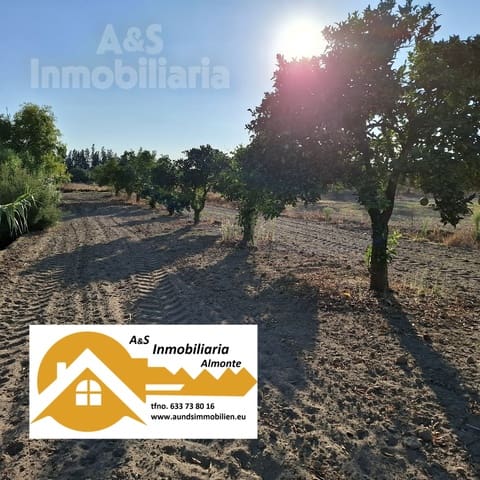 Byggegrund til salg i Almonte - € 35.000 (Ref: 9321675)