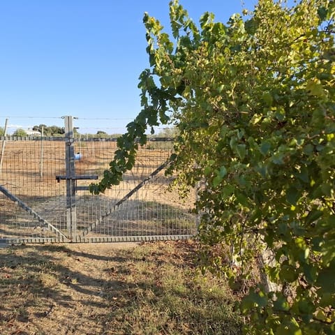 Byggegrund til salg i Almonte - € 35.000 (Ref: 9321675)