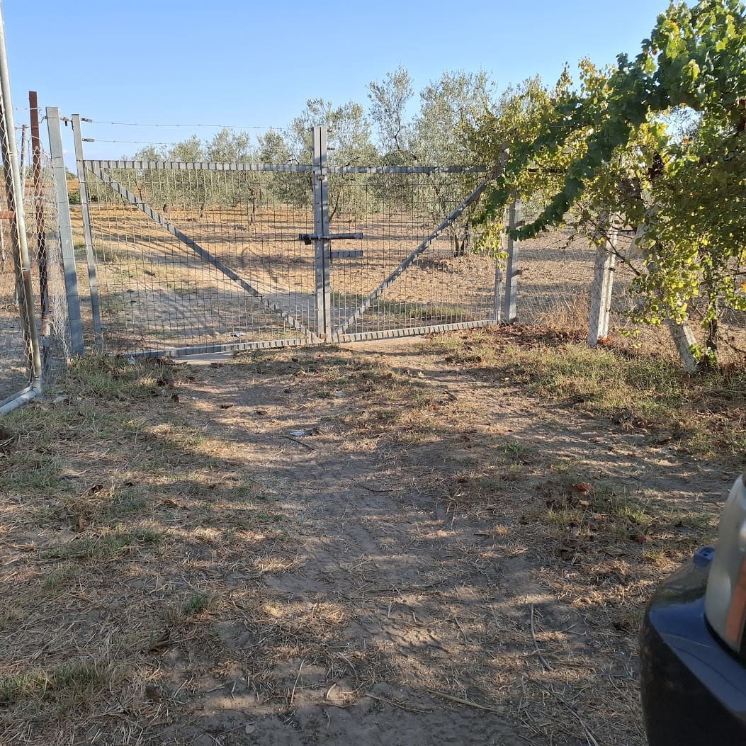 Działka budowlana na sprzedaż w Almonte - 35 000 € (Ref: 9321675)