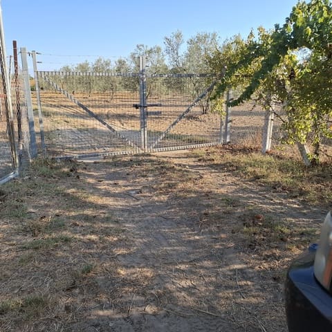 Byggegrund til salg i Almonte - € 35.000 (Ref: 9321675)