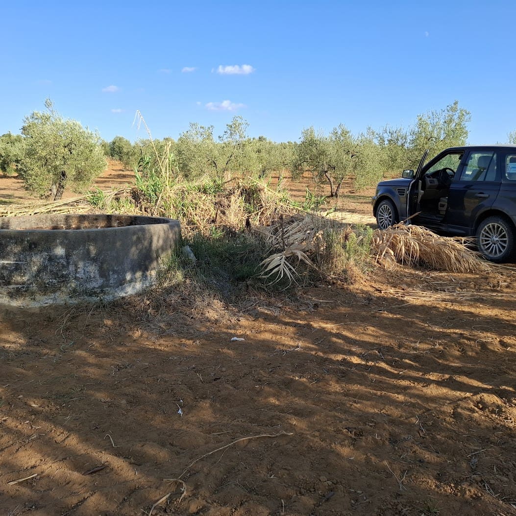 Tontti myytävänä paikassa Almonte - 85 000 € (Ref: 9324239)