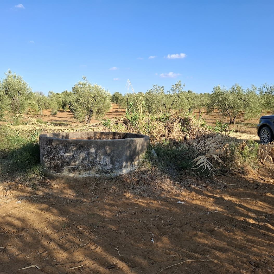 Tontti myytävänä paikassa Almonte - 85 000 € (Ref: 9324239)