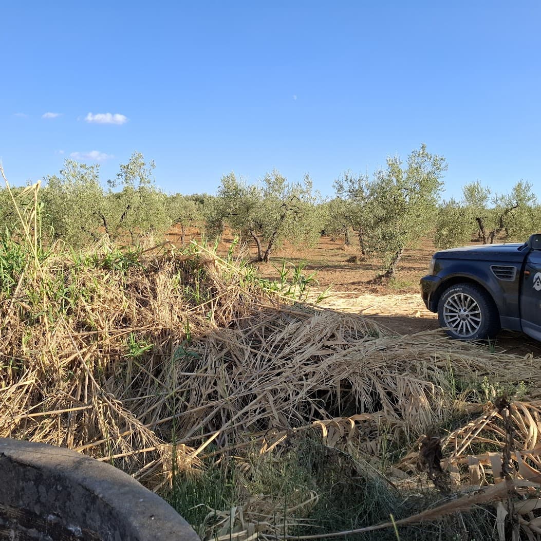 Tontti myytävänä paikassa Almonte - 85 000 € (Ref: 9324239)