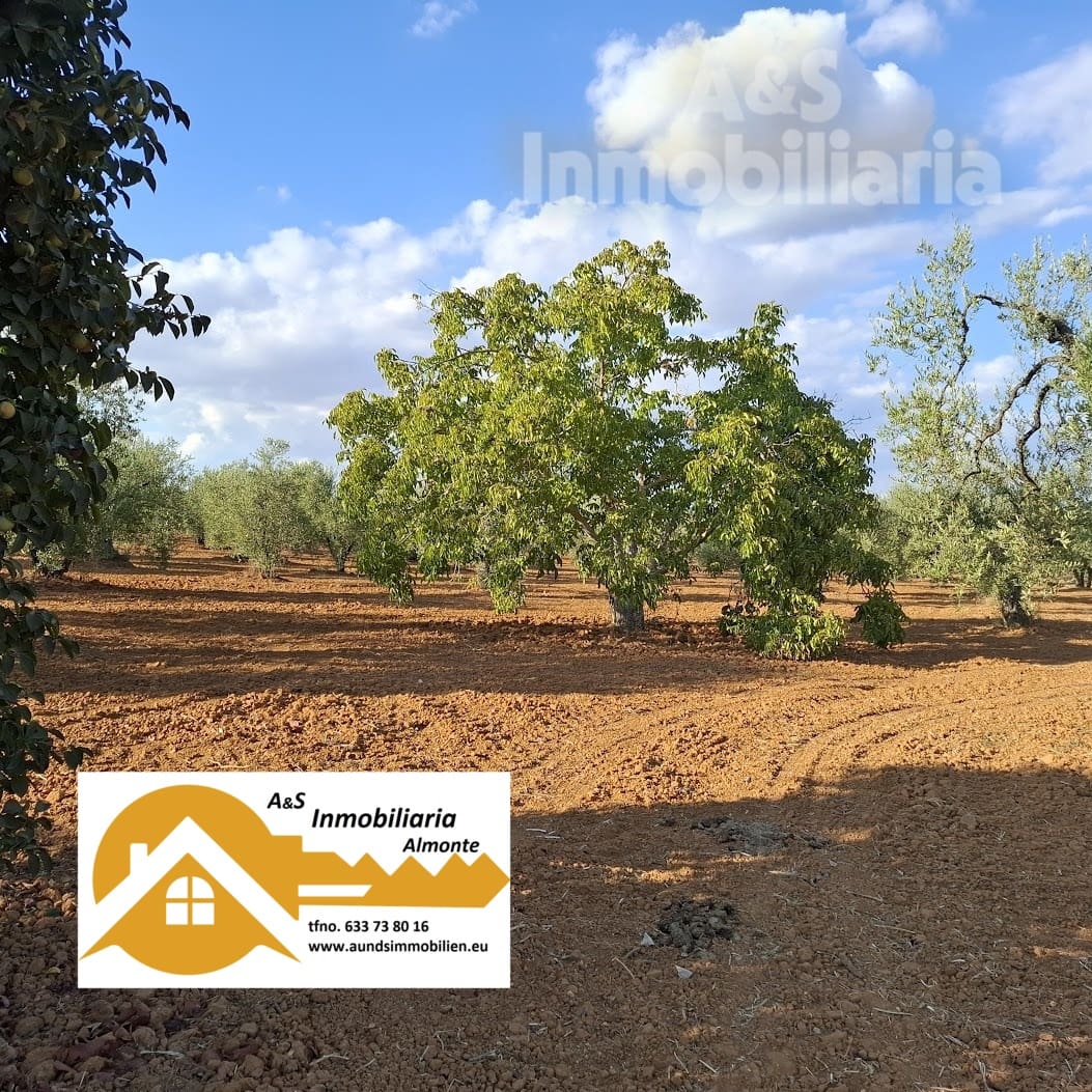 Tontti myytävänä paikassa Almonte - 85 000 € (Ref: 9324239)