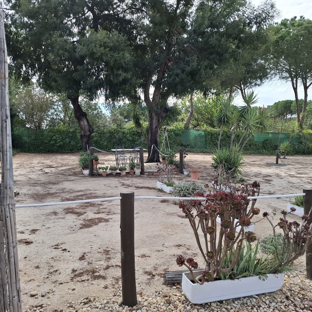 3 slaapkamer Finca/Landhuis te koop in Almonte met zwembad garage - € 98.000 (Ref: 9330185)