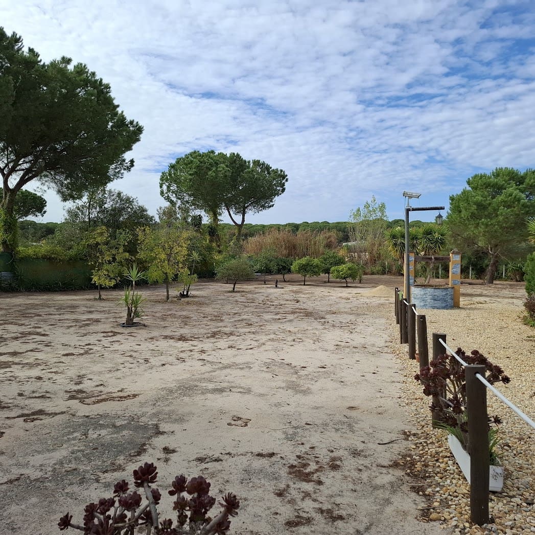 3 slaapkamer Finca/Landhuis te koop in Almonte met zwembad garage - € 98.000 (Ref: 9330185)